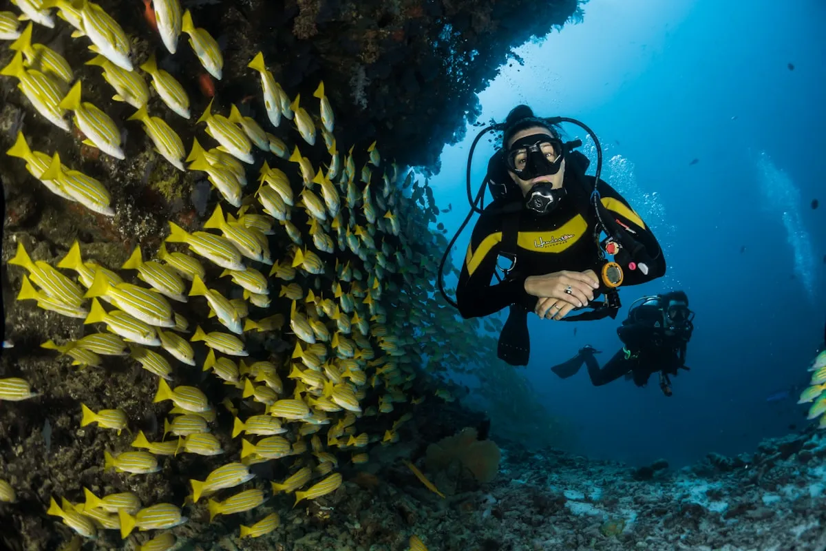 Bali Snorkeling Adventure