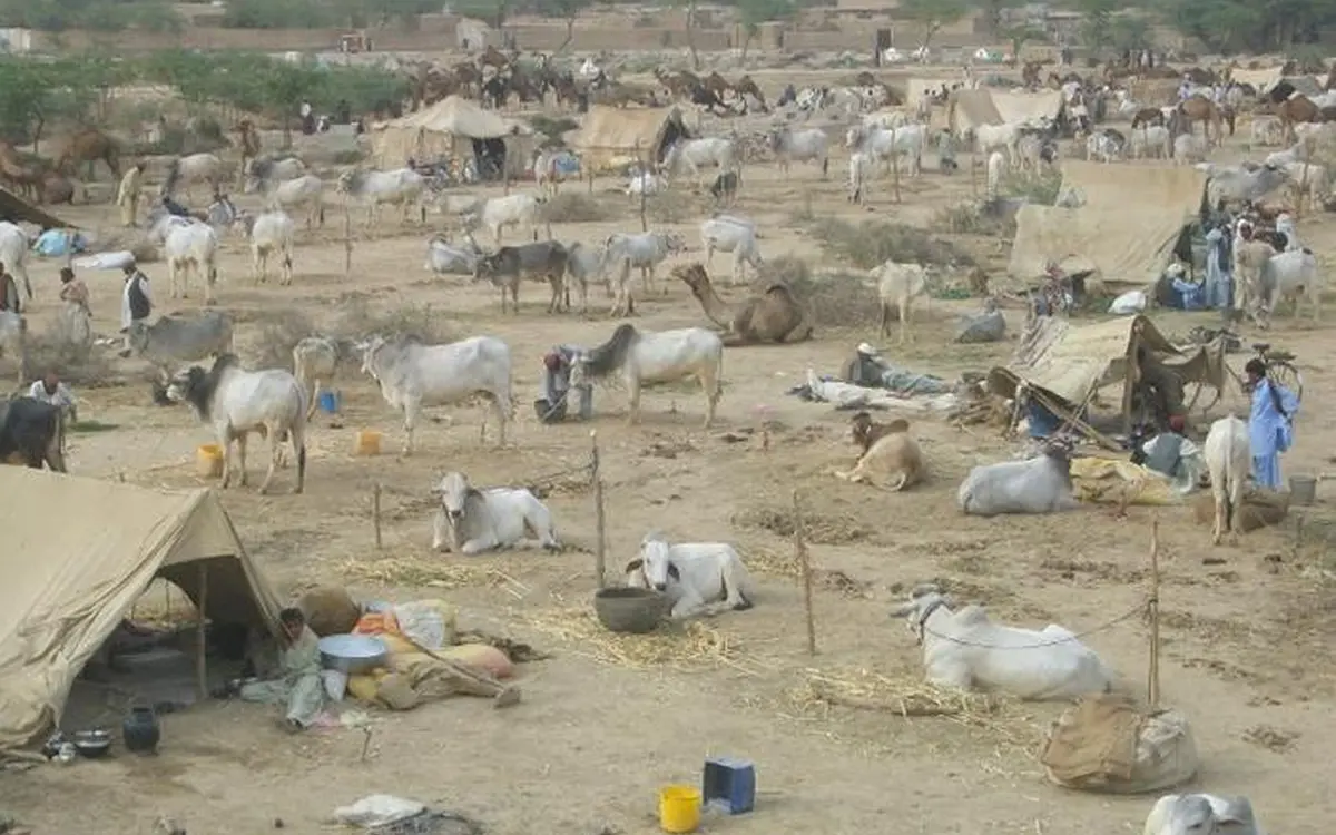Sibi Mela in Pakistan