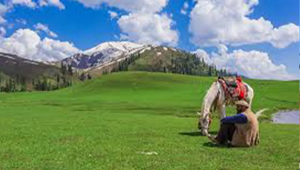 Siri Paye Meadows, Pakistan