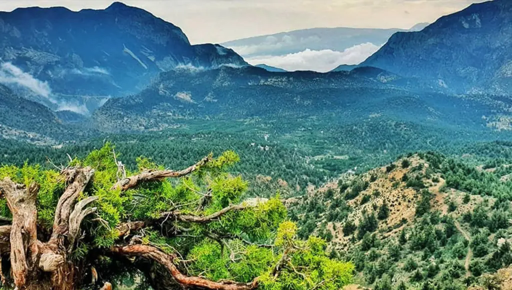 Ziarat Valley, Pakistan